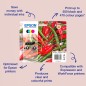 Epson 503 XL Multipack Sort Gul Cyan Magenta Blæk C13T09R94020 Epson 503 XL Multipack Sort Gul Cyan Magenta Blæk C13T09R94020